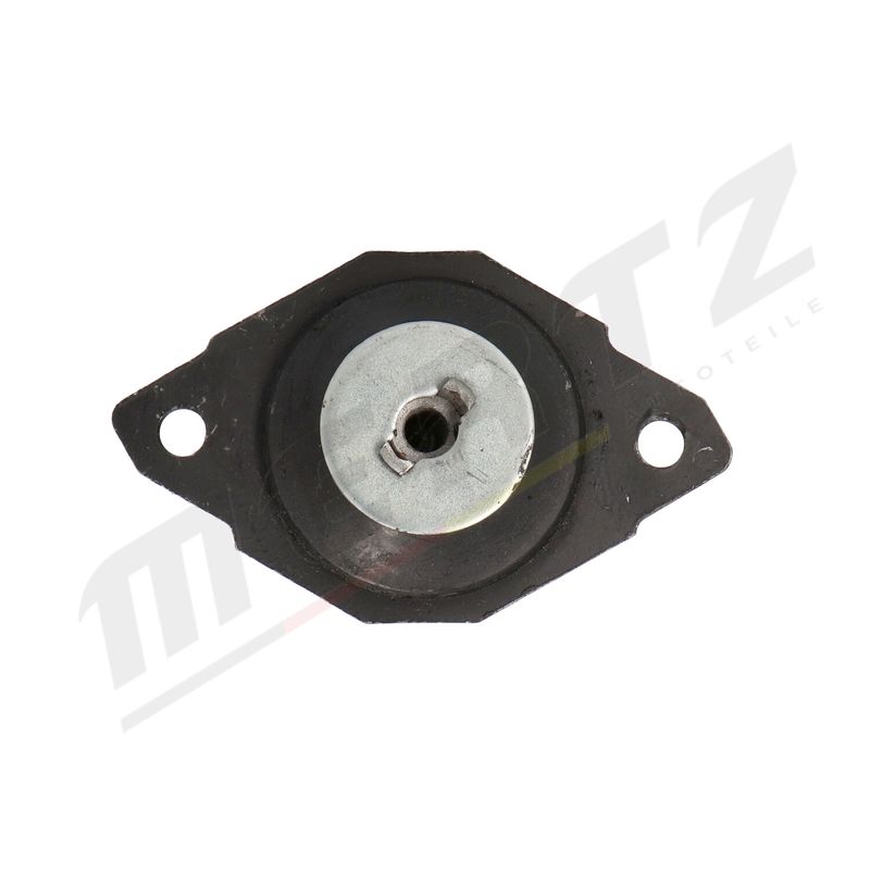 MERTZ M-S4167 Mounting, engine