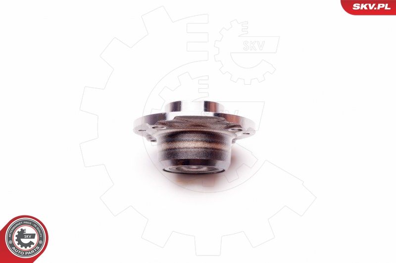 ESEN SKV 29SKV022 Wheel Bearing Kit