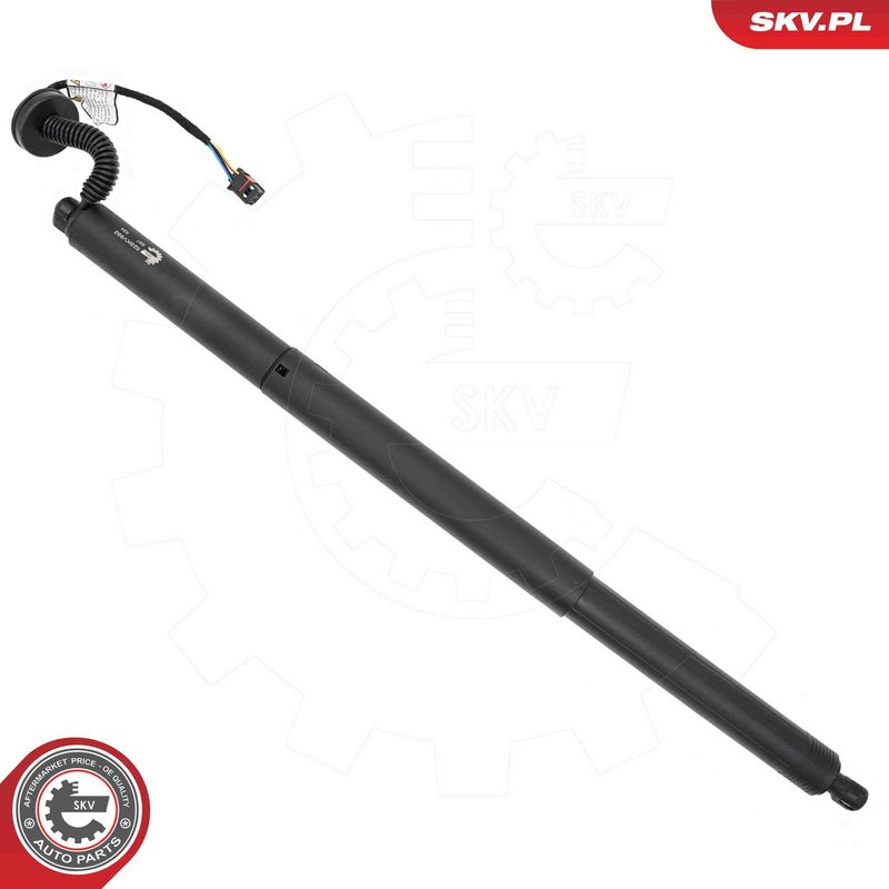 ESEN SKV 52SKV992 Electric Motor, tailgate