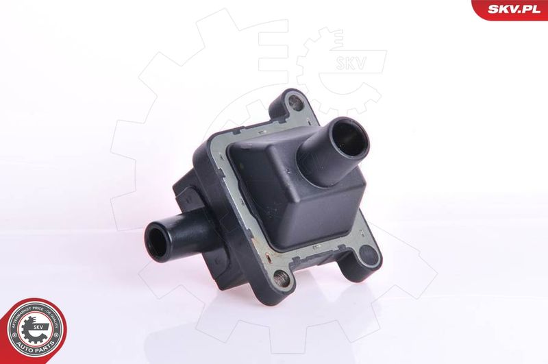 ESEN SKV 03SKV009 Ignition Coil