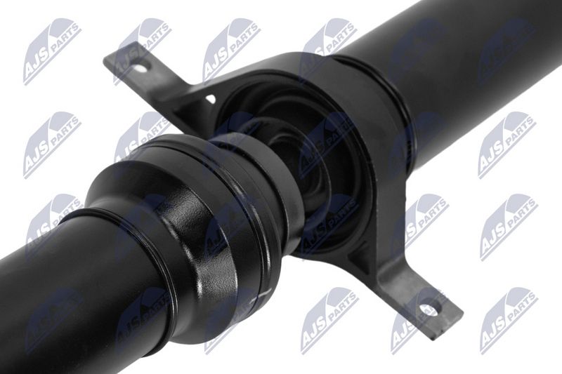 AX CARDANIC ANTRENAREA ARBORELUI NTY NWNLR045 2