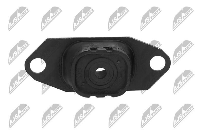 Paigutus, Mootor, NTY ZPS-NS-055