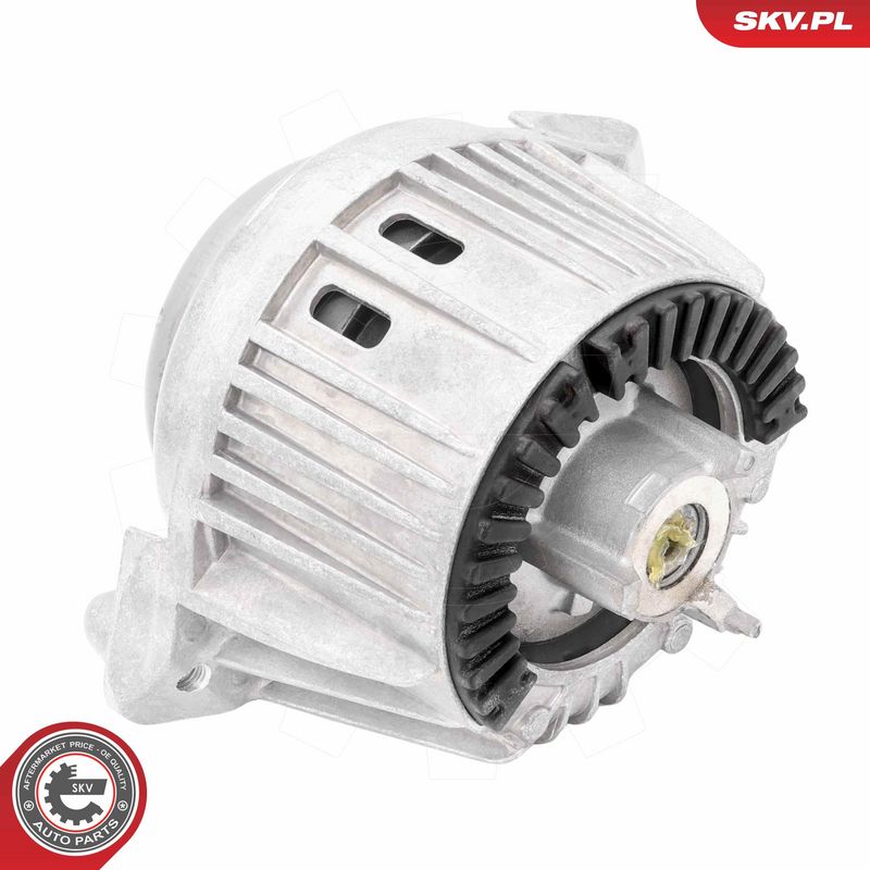 Paigutus, Mootor, ESEN SKV 75SKV298