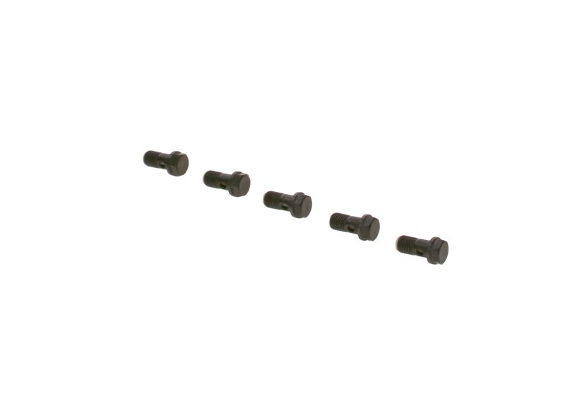Surub F 019 D01 024 BOSCH