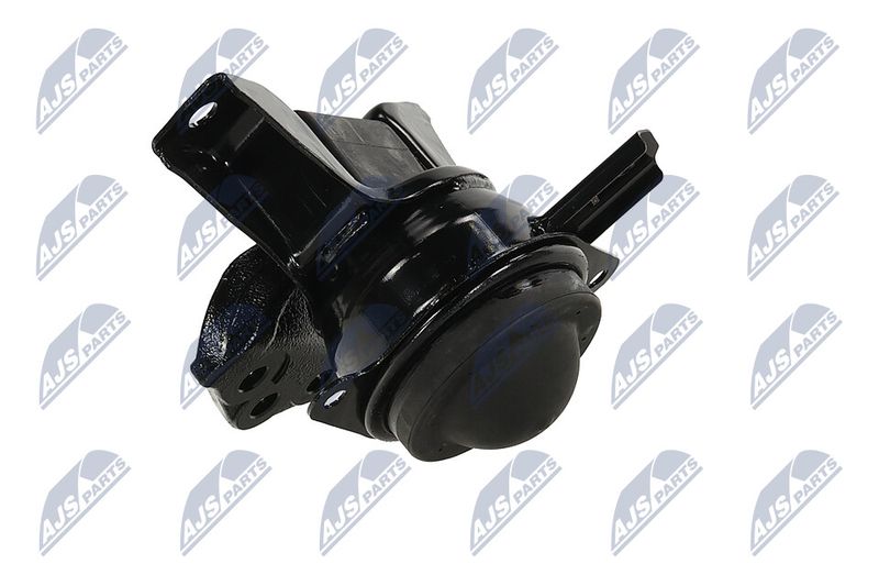 Paigutus, Mootor, NTY ZPS-MS-090