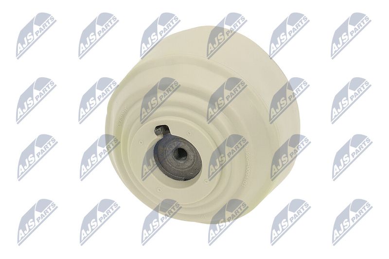 Paigutus, Mootor, NTY ZPS-ME-100