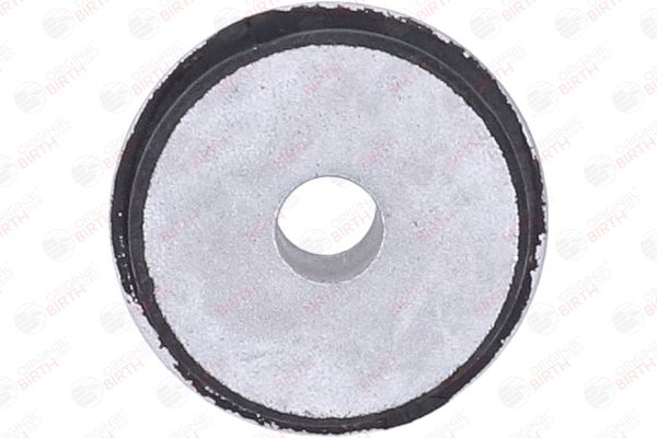 BIRTH 20242 Control Arm / Trailing Arm Bush