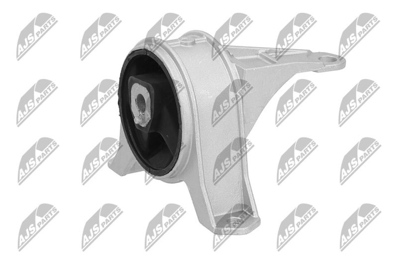 Paigutus, Mootor, NTY ZPS-PL-001