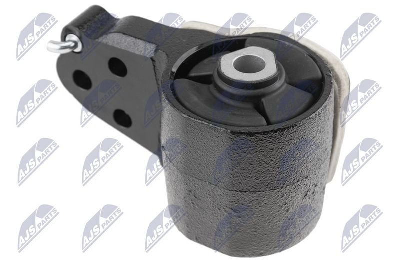 Paigutus, Mootor, NTY ZPS-FR-084