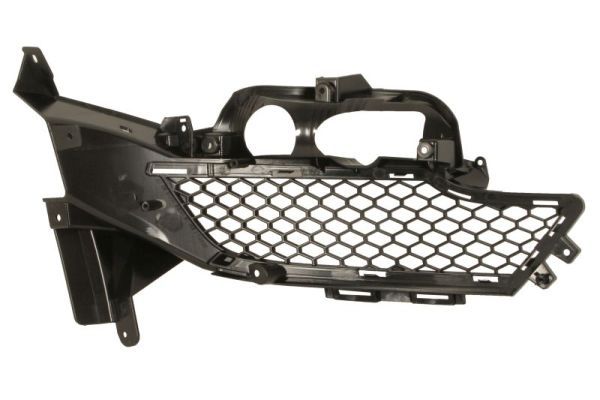 BLIC 6502-07-2586917P Ventilation Grille, bumper