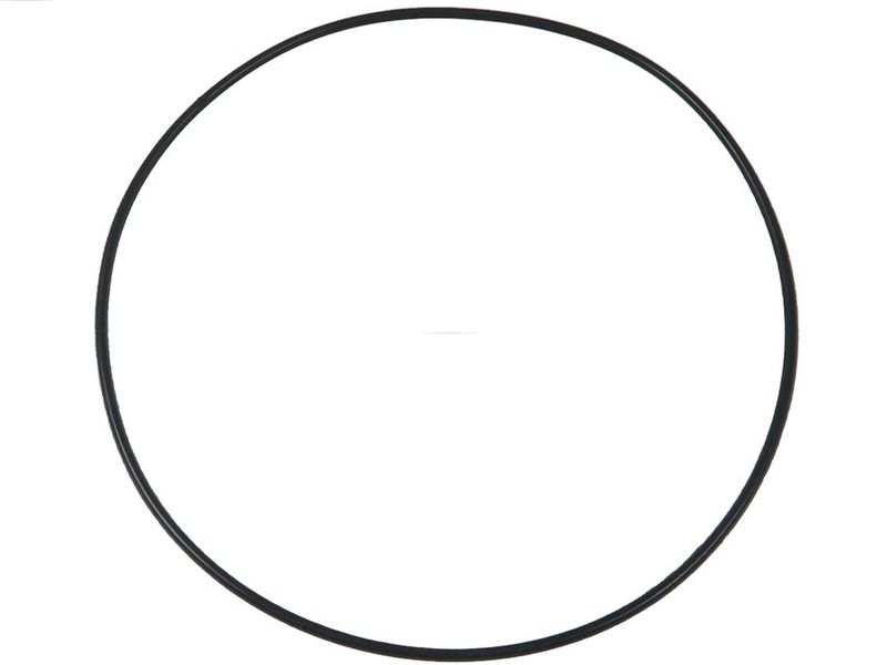 310186.JPG