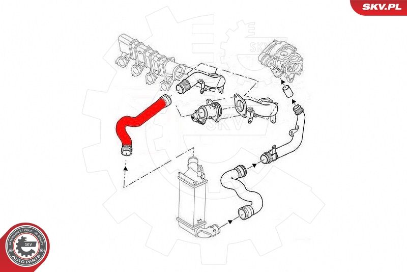 Шланг подачі наддувального повітря, Skv Germany 43SKV301