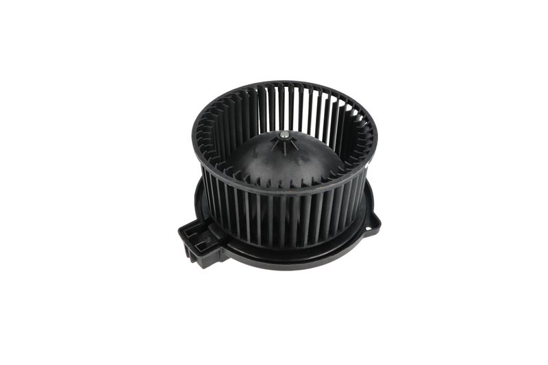 Salongipuhur, NRF 34331