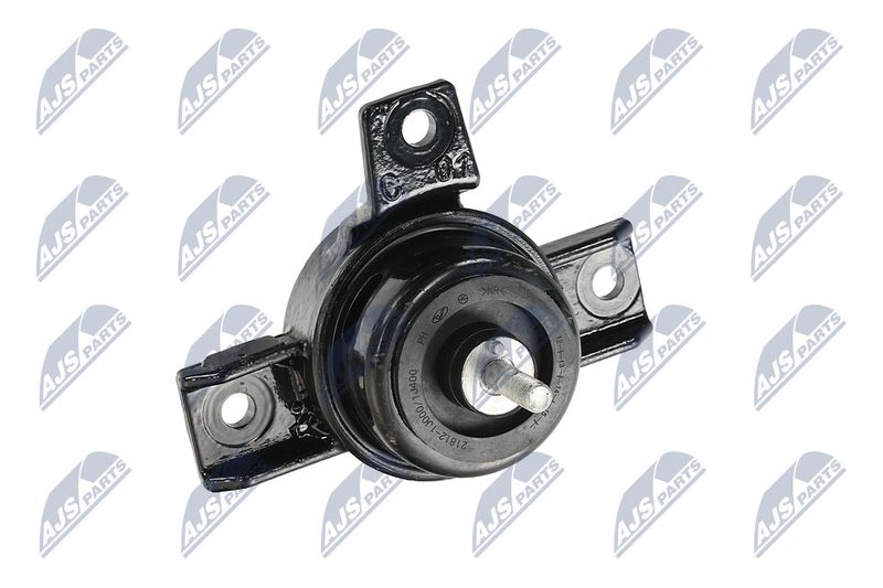 Paigutus, Mootor, NTY ZPS-KA-325