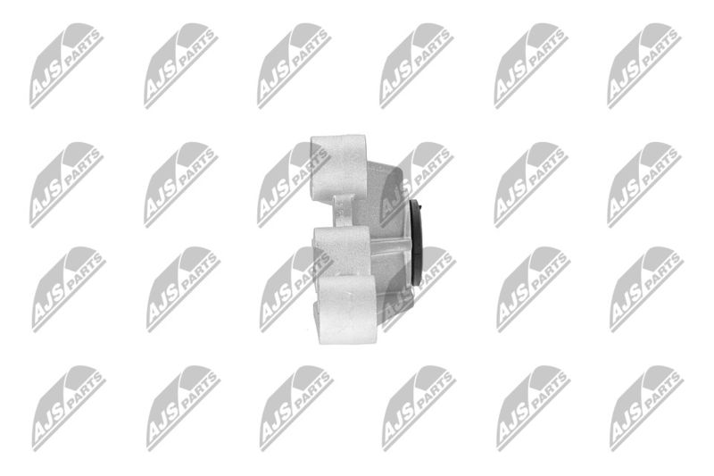 Paigutus, Mootor, NTY ZPS-CH-120