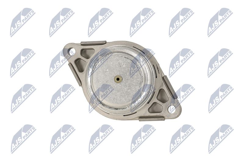 Paigutus, Mootor, NTY ZPS-LR-007