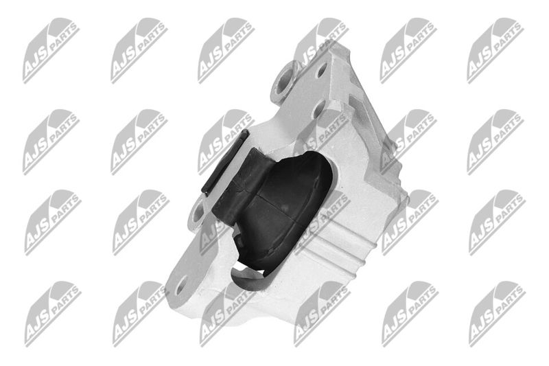 Paigutus, Mootor, NTY ZPS-CH-132