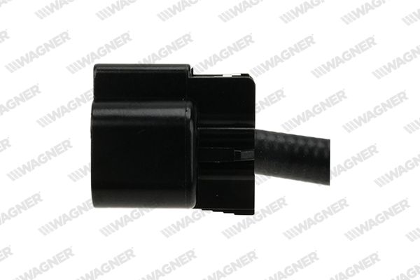 lbs00213_5309797.JPG