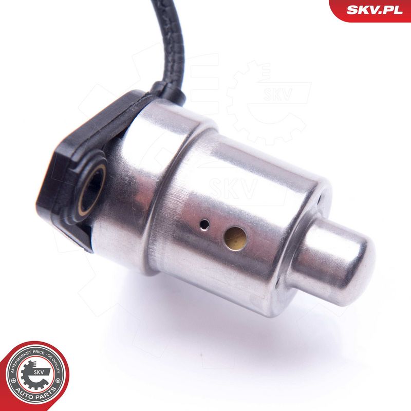 Andur, Mootoriõlitase, ESEN SKV 17SKV405