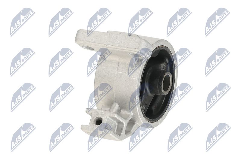 Paigutus, Mootor, NTY ZPS-KA-318