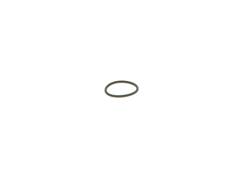 BOSCH 1928300277 Rubber Ring