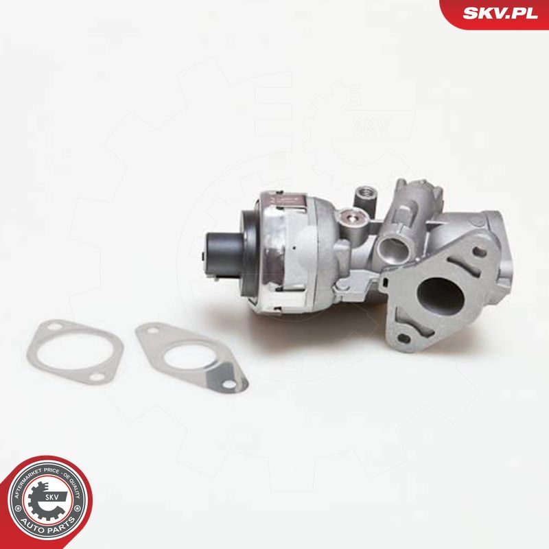 EGR-klapp, ESEN SKV 14SKV038
