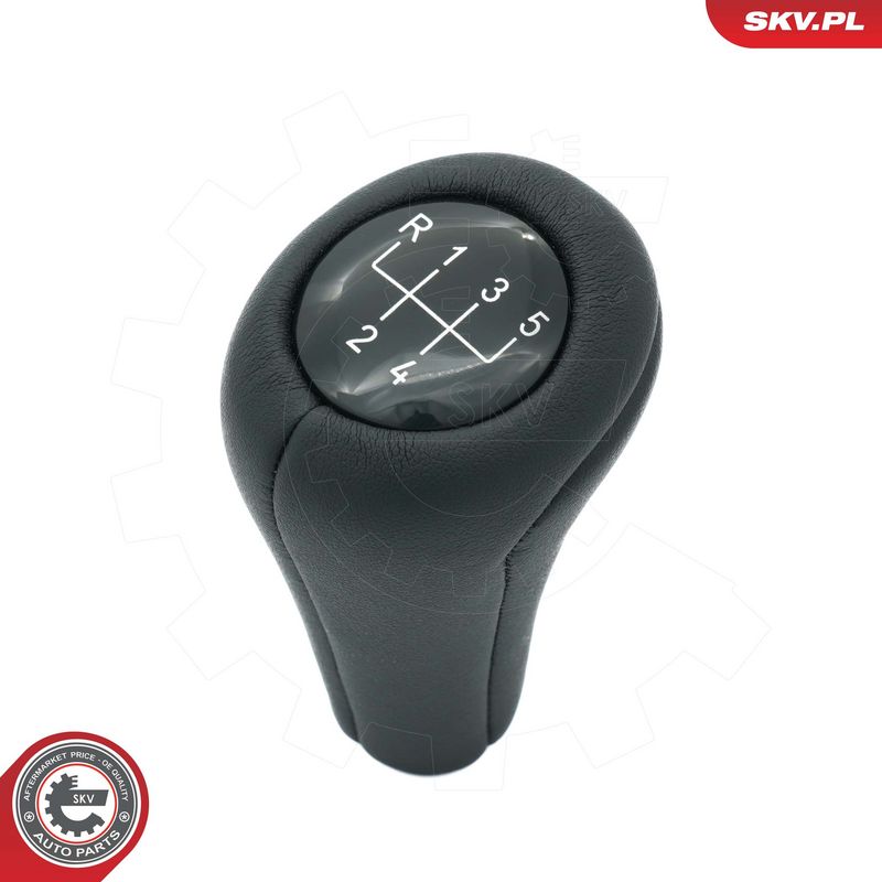 Käigukanginupp, ESEN SKV...