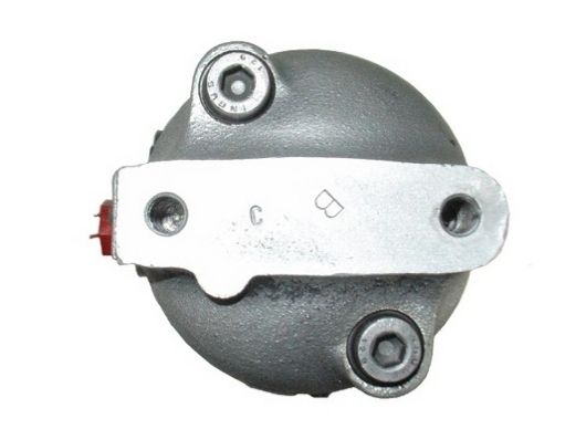 SPIDAN 53863 Hydraulic Pump, steering