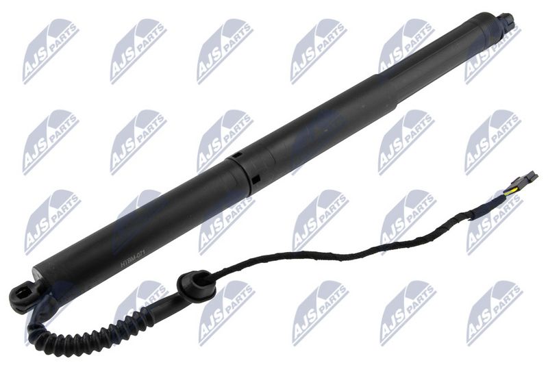 NTY AE-BM-071 Gas Spring, boot/cargo area