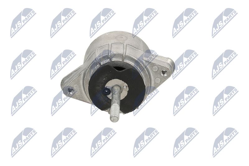 Paigutus, Mootor, NTY ZPS-PS-009