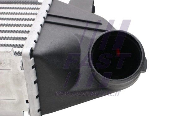 FT55596_4_1.JPG