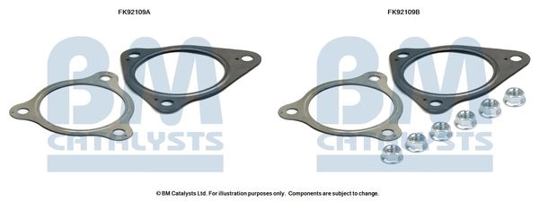 BM CATALYSTS szerelőkészlet, katalizátor FK92109