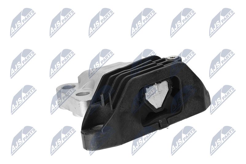 Paigutus, Mootor, NTY ZPS-CH-165