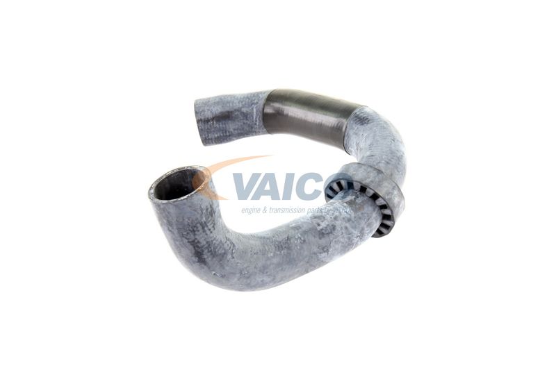 VAICO V30-2220 Radiator Hose