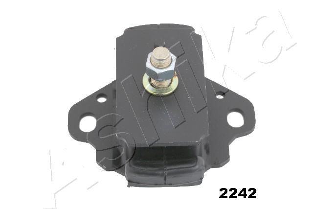 GOM-2242_1.JPG