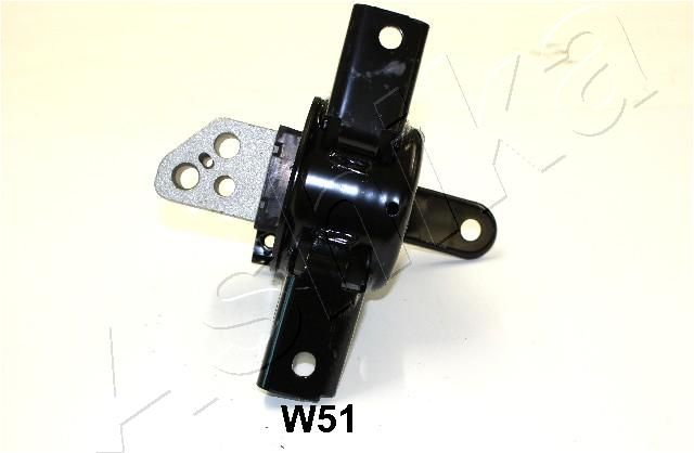 GOM-W51_2.JPG
