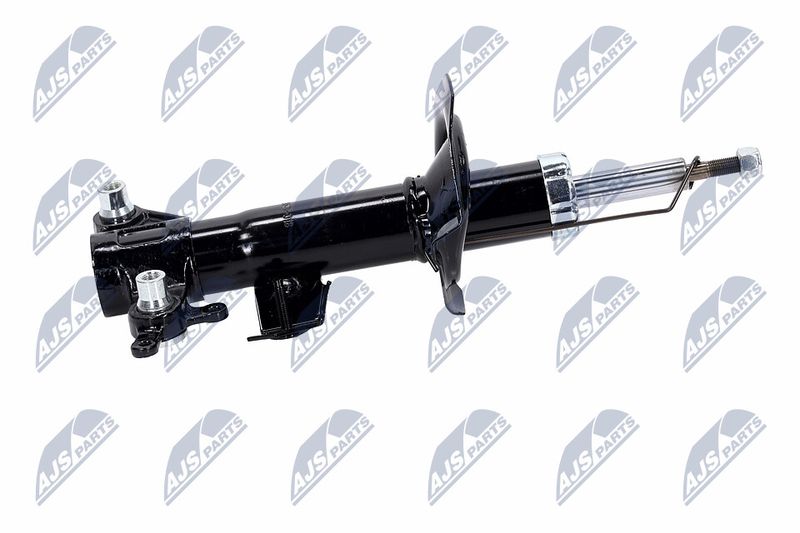 Amort, NTY A-NS-016