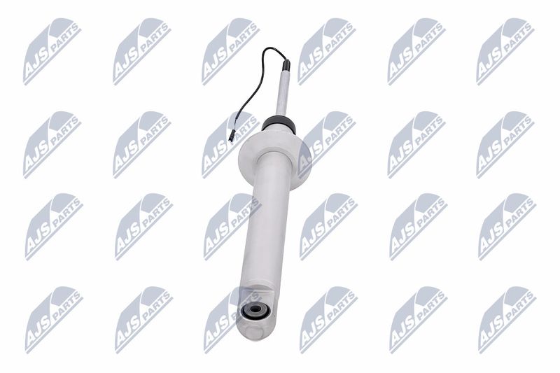Amort, NTY A-MA-001