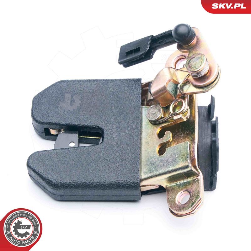 Tagaluugi sulgur, ESEN SKV...