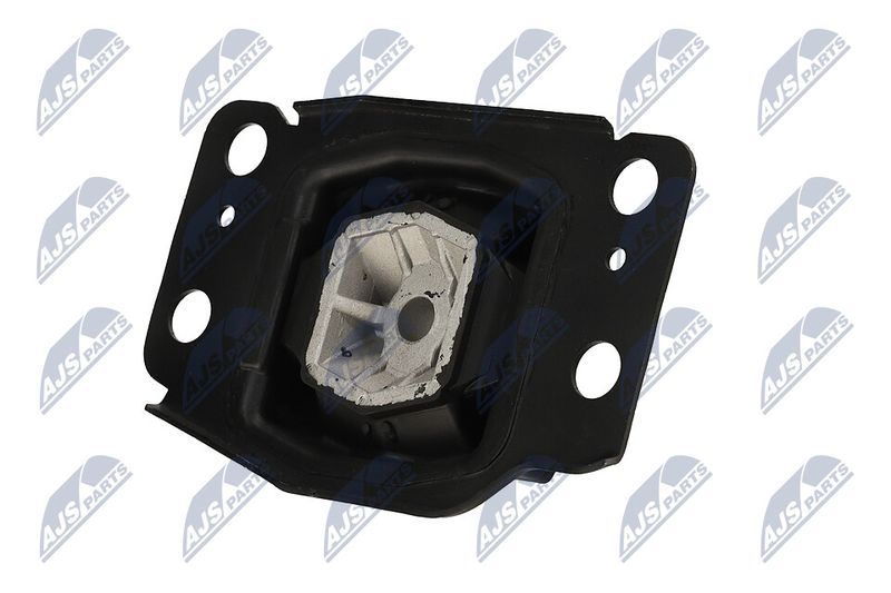 Paigutus, Mootor, NTY ZPS-FR-036