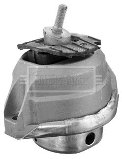 BEM4019_210807.JPG