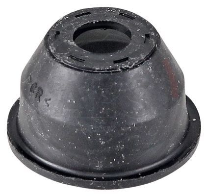 279033.JPG