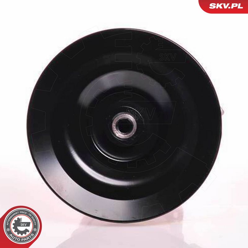 ESEN SKV 10SKV169 Hydraulic Pump, steering