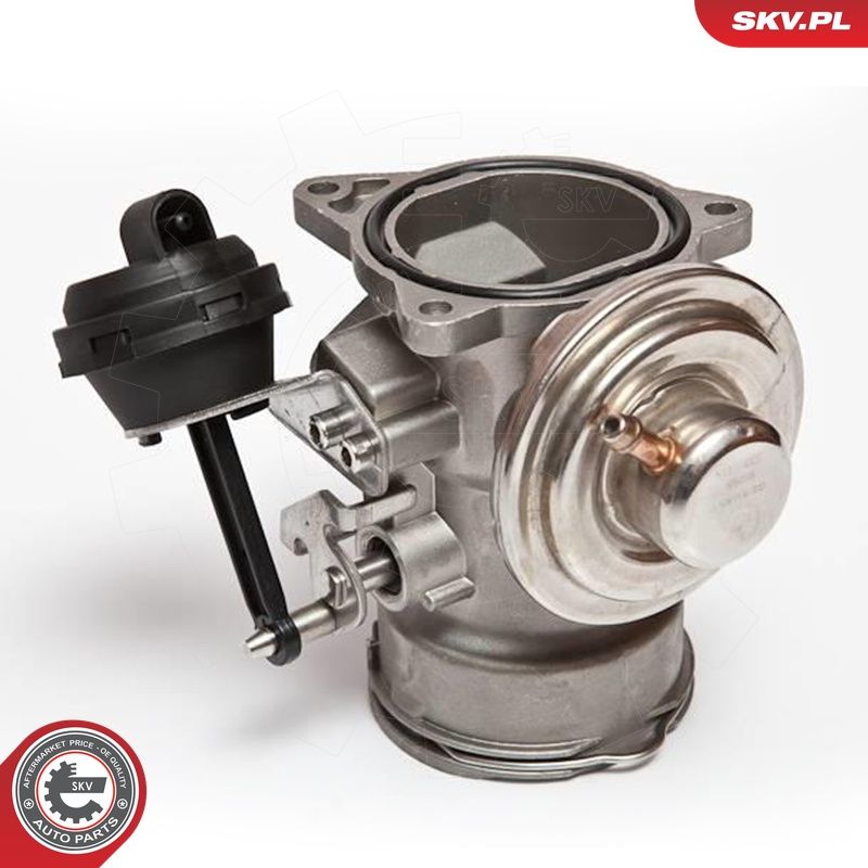 EGR-klapp, ESEN SKV 14SKV024