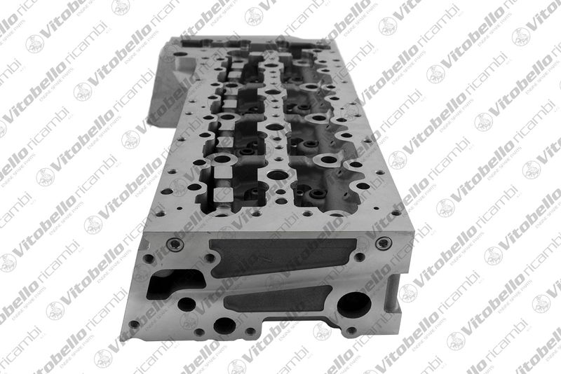 Vitobello ricambi 1004483N Cylinder Head