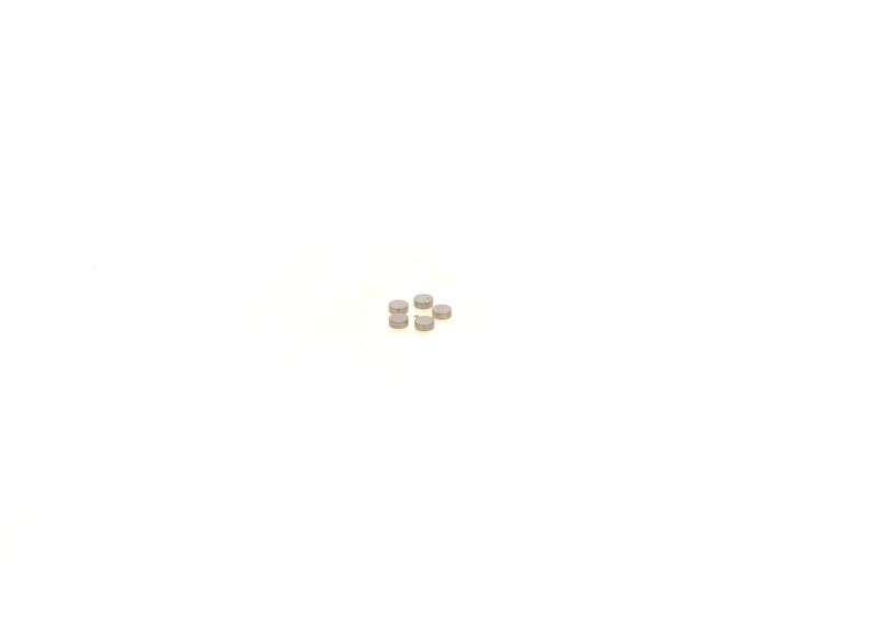 BOSCH 1410067219 Washer