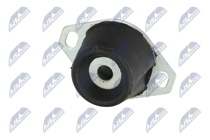 Paigutus, Mootor, NTY ZPS-PE-005