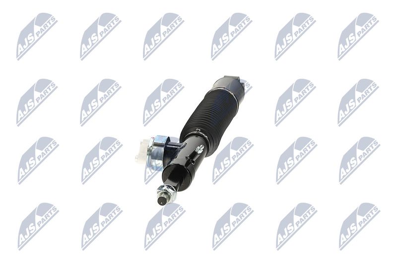 Amort, NTY A-NS-056
