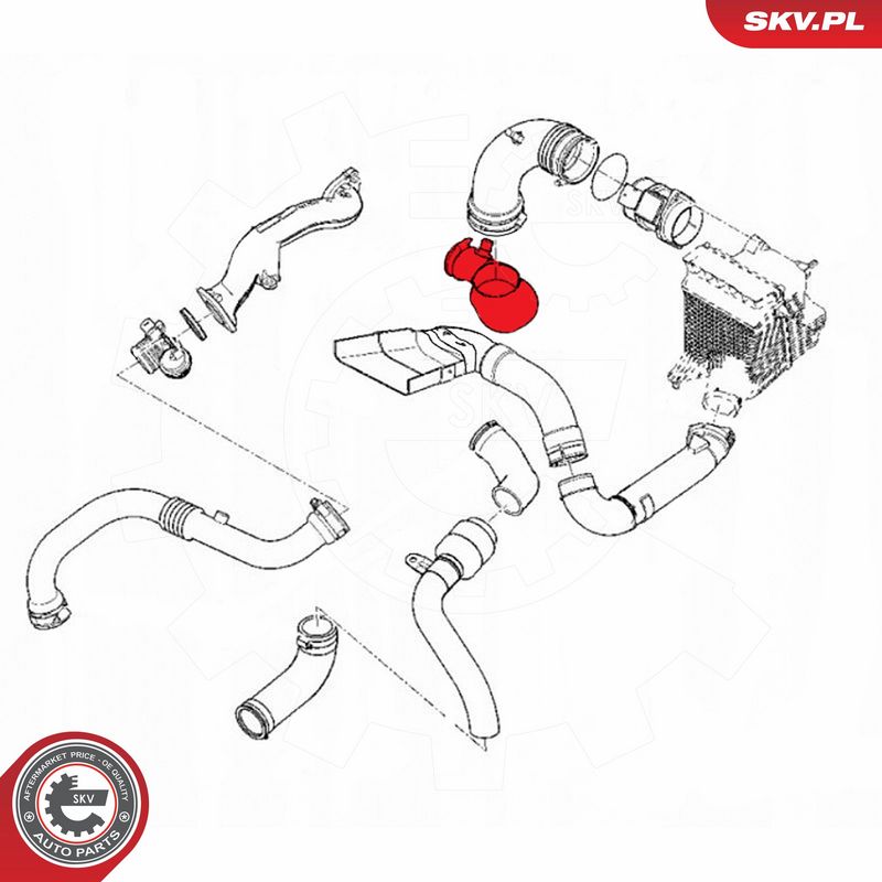 ESEN SKV 24SKV469 Intake Hose, air filter