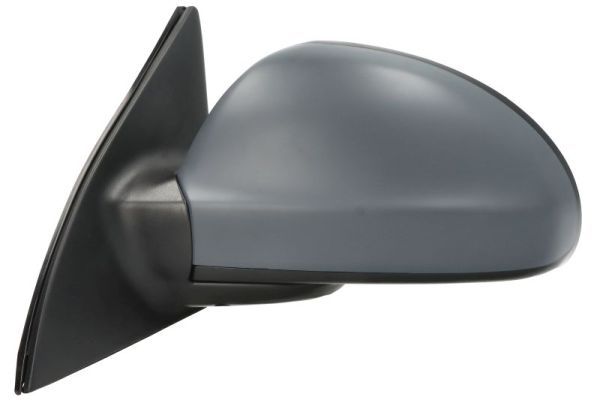 BLIC 5402-53-0636310P Exterior Mirror